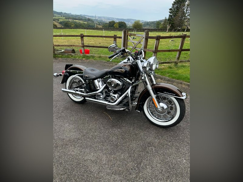 2013 Harley-Davidson Softail Custom Cruiser 1690 FLSTC Heritage Classic 110th Anniversary Custom Cruiser Petrol Manual 74 ps
